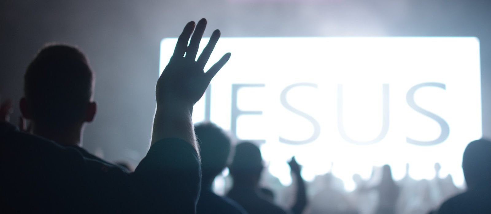 silhouette of people raising hands